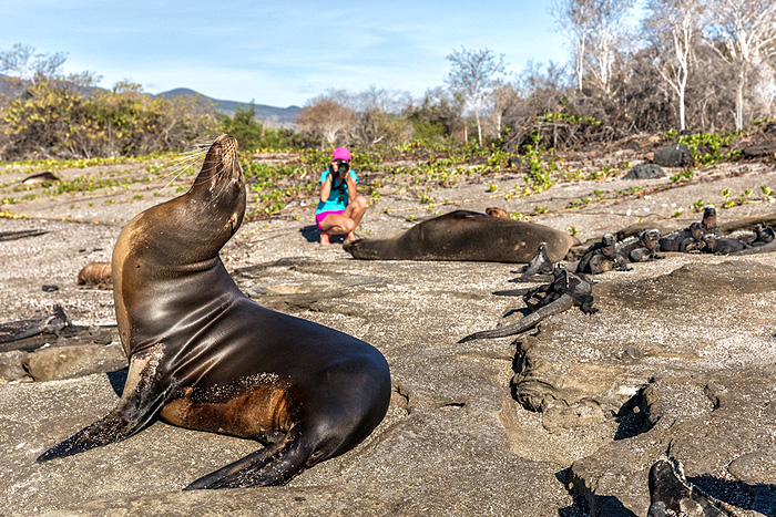 Une pause photo sur les Îles Galápagos