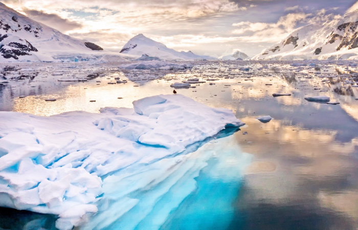 L'Antarctique