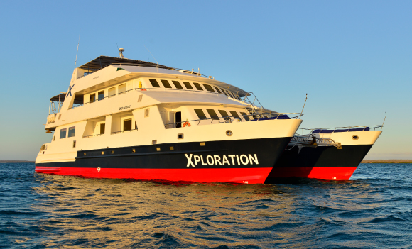 Celebrity Xploration