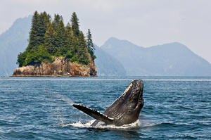 Croisières Alaska