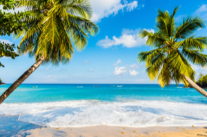 Croisières Martinique